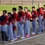 Mount Horeb Youth Baseball
