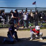 Mount Horeb Youth Baseball