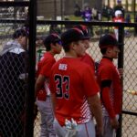 Mount Horeb Youth Baseball
