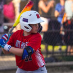 Mount Horeb Youth Baseball